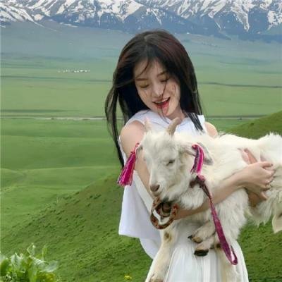 超完美杀手