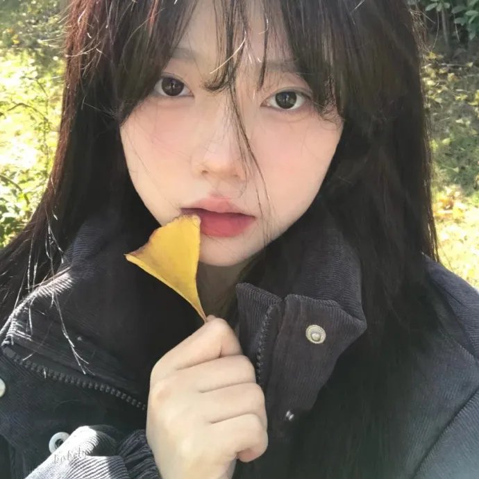 奇谋妙计多仔公