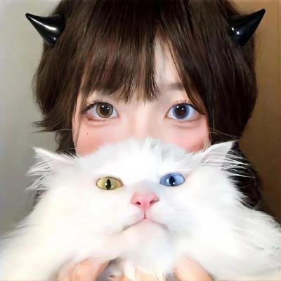 猎鹰上升